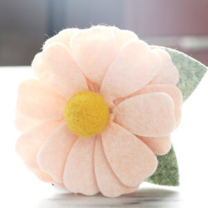 cream daisy for dog collar