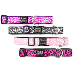 animal print dog collar for big dogs