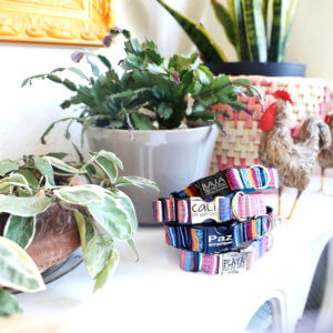 baja dog collars