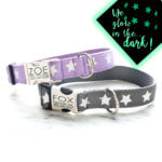 Glow in the Dark Dog Collar w Engraved Buckle and HEARTS or STARS