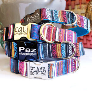 sarape dog collar