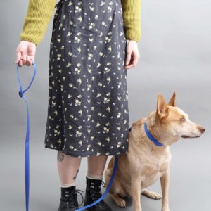 adjustable leash demo in hand