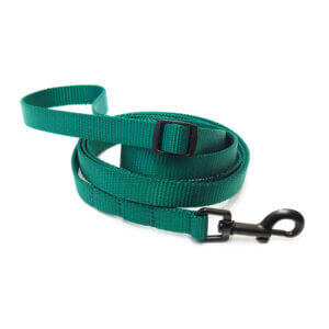forest green adjustable leash