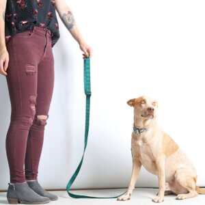 fox andrea hands free nylon leash