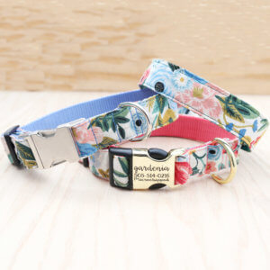 rifle paper co canvas dog collar