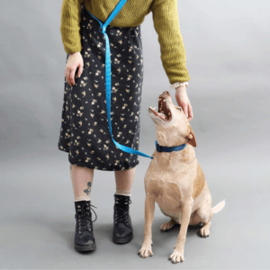 hands free nylon leash square