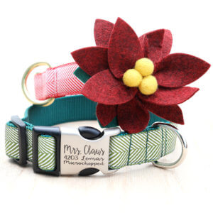 poinsetta-dog-collar-flower