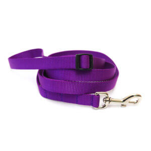 purple adjustable dog leash