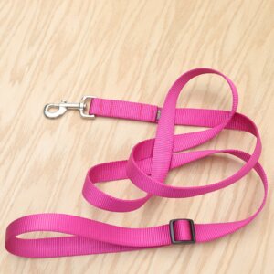 raspberry hands free nylon leash