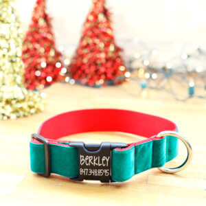 wide holiday collar