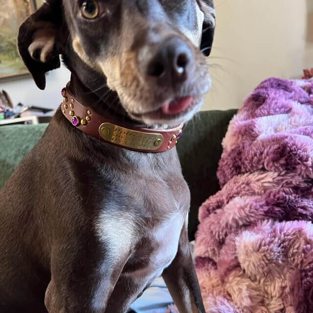 Image #1 from christina martinez