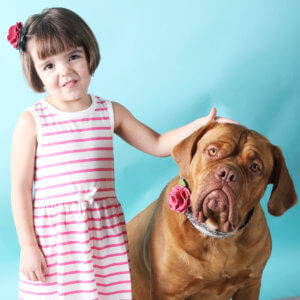 owner match dog hair clips collar flowers