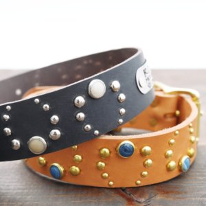 Studded Wide Leather Dog Collar - 1.5