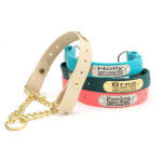 Waterproof Leather Alternative Martingale Dog Collar (22 colors) with Engraved Riveted Nameplate
