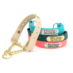 Personalized French Bulldog Collar