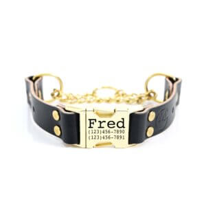 leather-quick-release-martingale-engraved-collar-black
