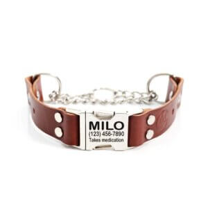 leather-quick-release-martingale-engraved-collar-brown