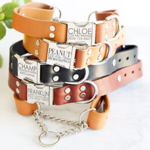leather martingale dog collar quick release buckle