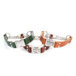 Leather Quick Release Martingale Dog Collar with Engraved Buckle - 9 Colors