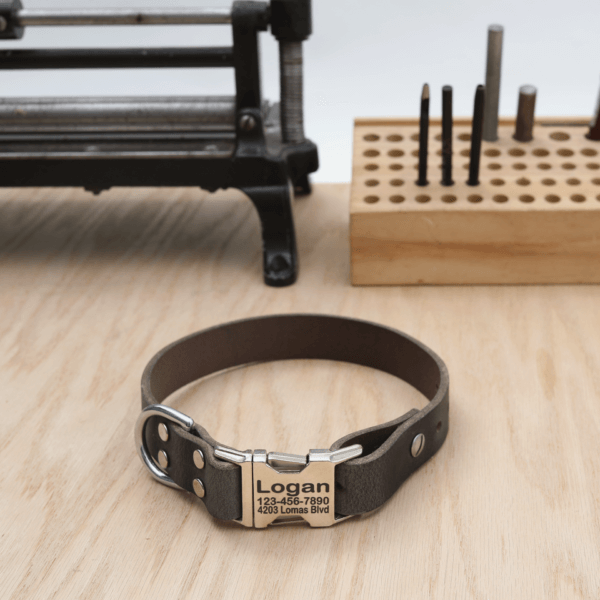 Grey Leather Dog Collar – Side-Release Buckle Style