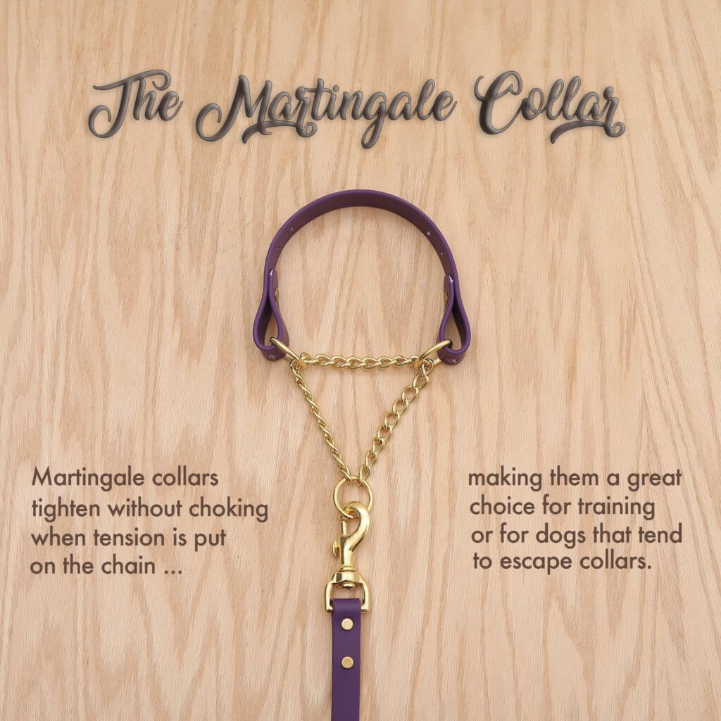 Waterproof Fi Compatible Martingale Dog Collar