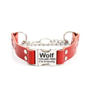 leather-quick-release-martingale-engraved-collar-red