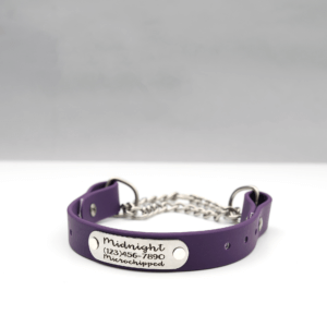 Waterproof Martingale Dog Collar – Purple