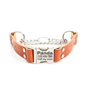 leather-quick-release-martingale-engraved-collar-tan