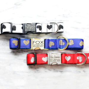 glitter hearts dog collar personalized