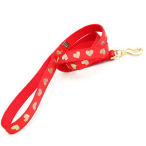 glitter hearts dog leash