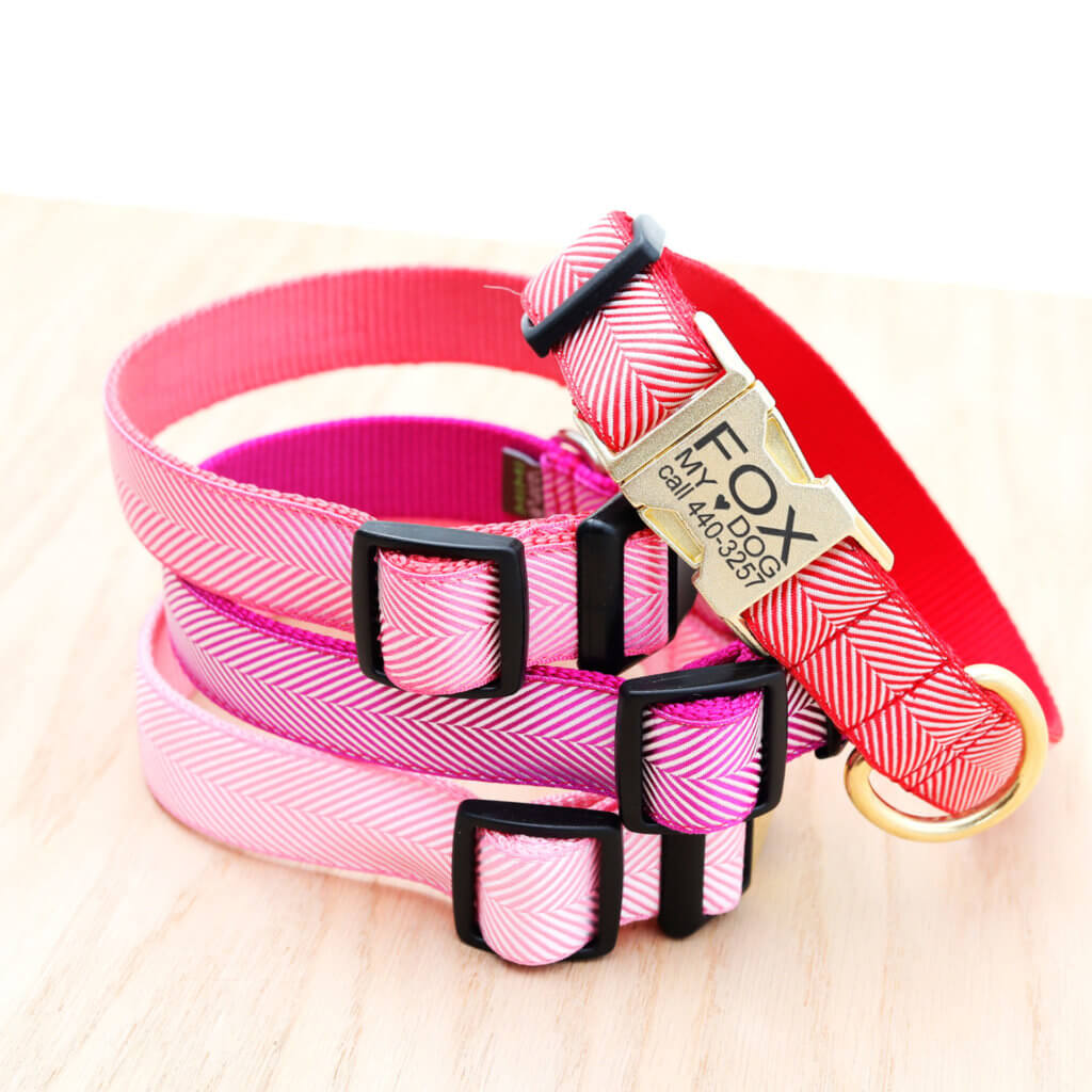 Valentine's Day Dog Collar Personalized & Handmade in the USA