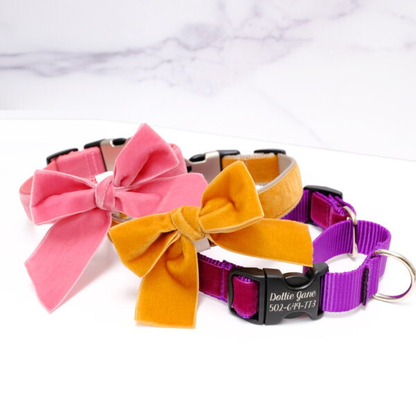 martingale bow velvet dog collar