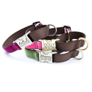 martingale velvet dog collar with buckle