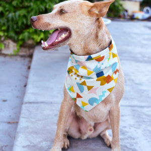 dog bandana geometric 80s print