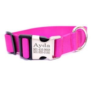 pink feminine dog collar for big dogs. Extra Wide.