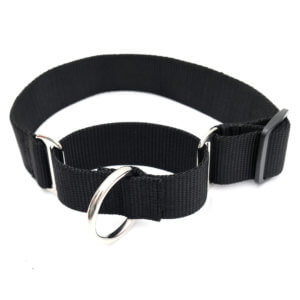 1.5 inch wide martingale dog collar
