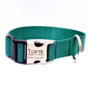 forest green big dog collar engraved