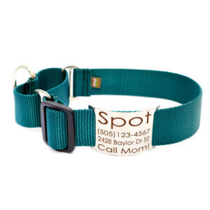 forrest green wide martingale collar with nameplate