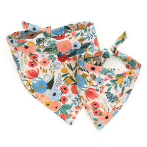 Canvas Dog Bandanas