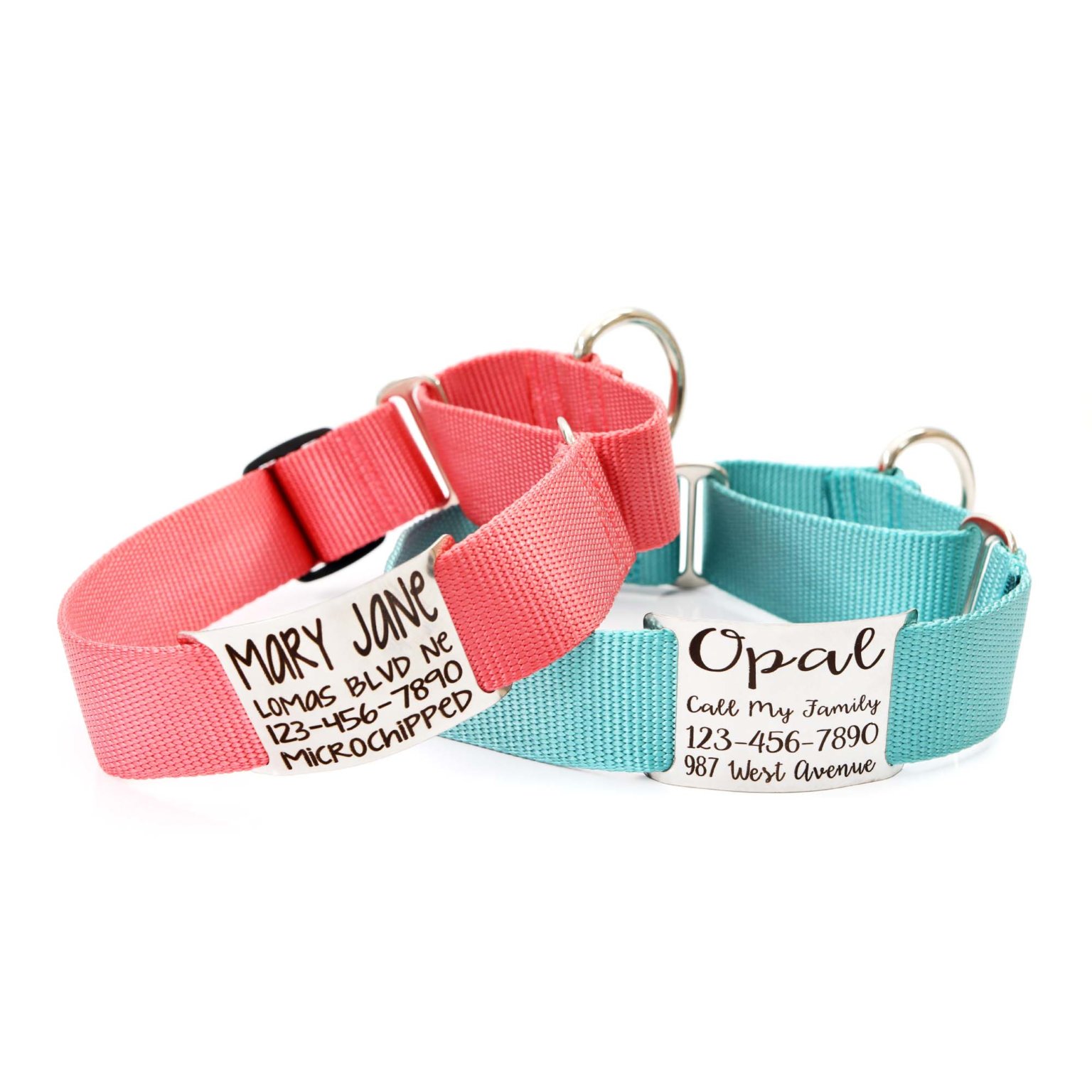 Martingale Dog Collars Custom & Personalized Mimi Green