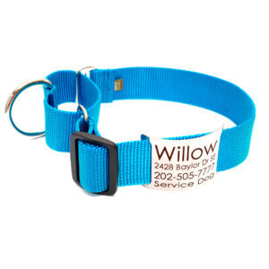 peacock blue wide martingale collar with nameplate