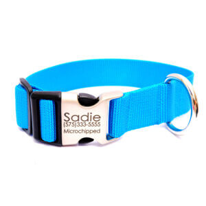 peacock blue wide webbing engraved
