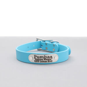 waterproof biothane belt nameplate dog collar cloud blue