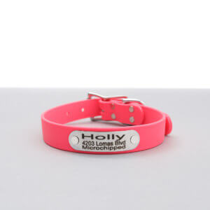 waterproof biothane belt nameplate dog collar neon pink