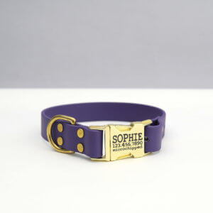 waterproof-biothane-side-release-purple