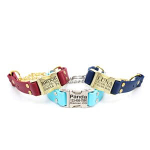 waterproof quick release martingale group 1