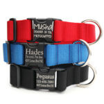 DD: 1.5 Inch Wide Nylon Dog Collar for Big Dogs + Greyhounds Optional ID Engraving
