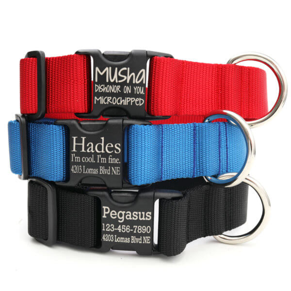 wide engraved nylon dog collar
