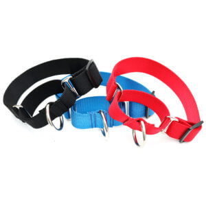 1.5 inch wide martingale dog collar