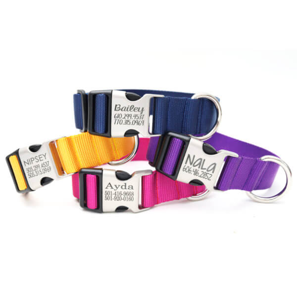 1.5" wide nylon dog collar for greyhounds big dogs engraved